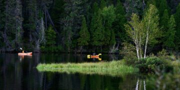 Global Strategies Unveiled: Innovations and Impacts of Climate Policies