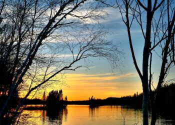 The Basics of Global Warming: What You Need to Know