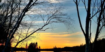 The Basics of Global Warming: What You Need to Know