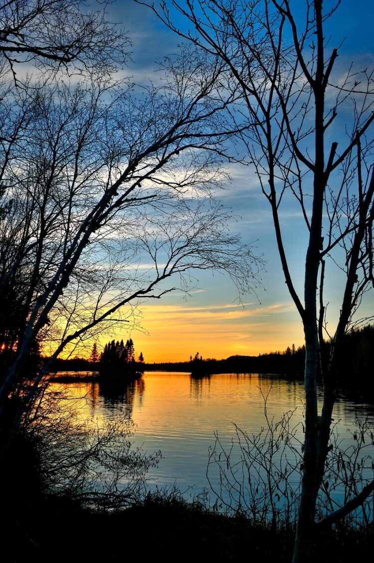 The Basics of Global Warming: What You Need to Know