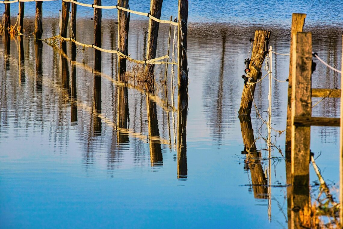 Decoding the Shifts: The Latest on U.S. Climate Policy Updates
