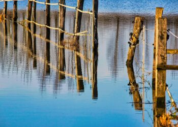 Decoding the Shifts: The Latest on U.S. Climate Policy Updates