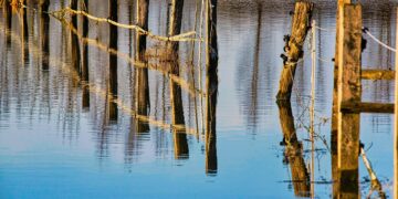 Decoding the Shifts: The Latest on U.S. Climate Policy Updates