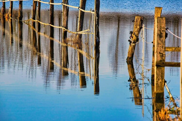 Decoding the Shifts: The Latest on U.S. Climate Policy Updates