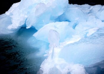 Global Efforts in Climate Legislation: A Comparative Analysis