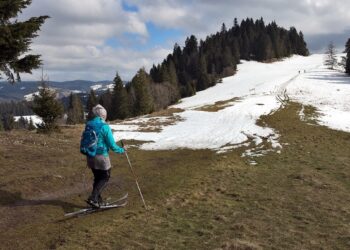 Heating Up the Debate: Global Warming vs. Climate Change