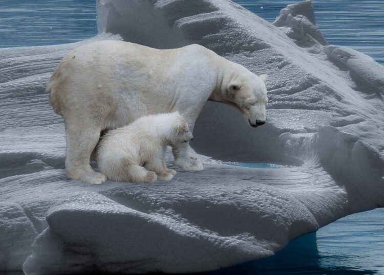 Empowering Our Future: The Critical Role of Climate Action Plans