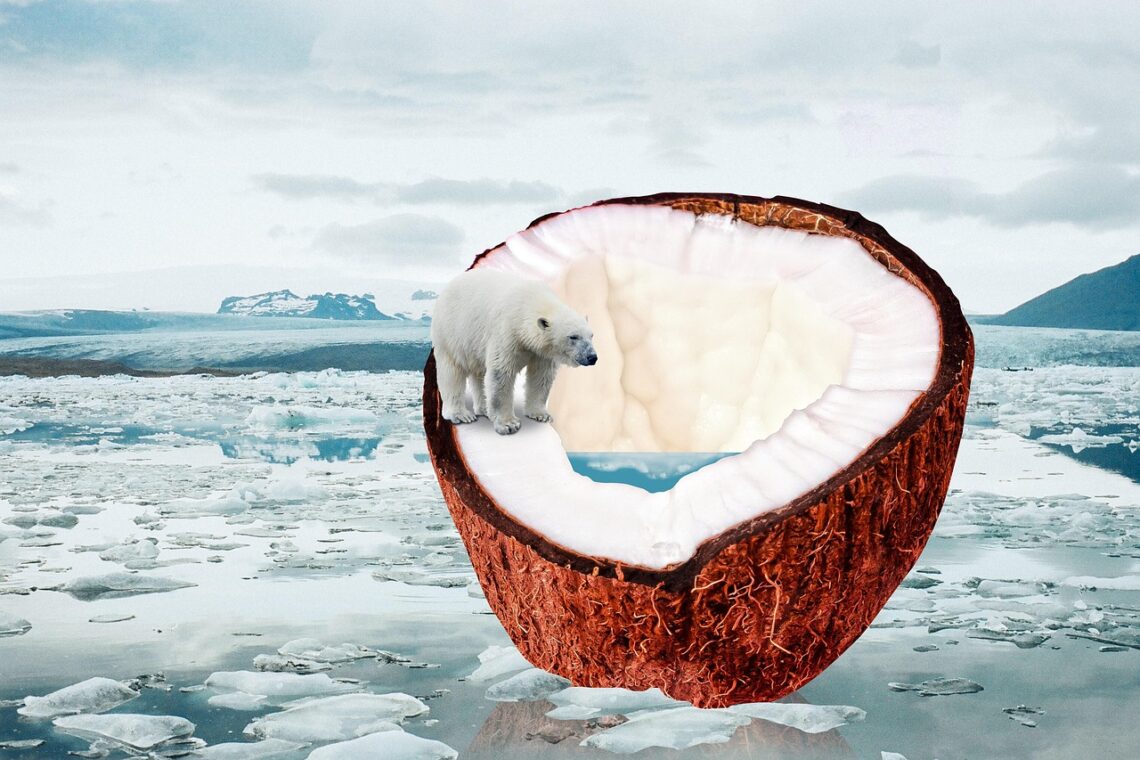 Melting Ice Caps and Disappearing Habitats: The Plight of Polar Bears and Penguins