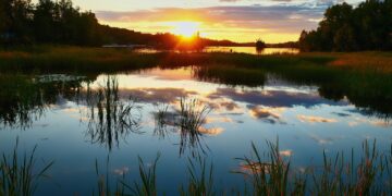 Effective Strategies for Increasing Global Warming Awareness