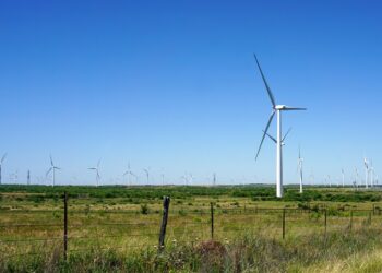 Green Power or Growing Pains? Exploring the Bright Sides and Dark Sides of Renewable Energy