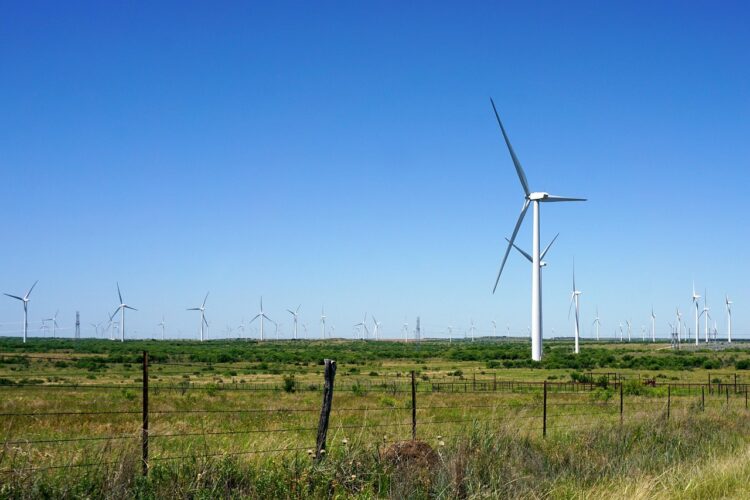 Green Power or Growing Pains? Exploring the Bright Sides and Dark Sides of Renewable Energy
