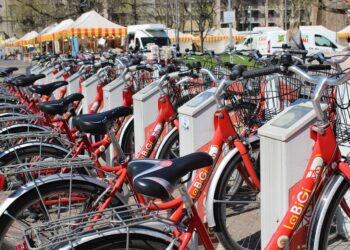 Earth-Friendly Elegance: Stylish and Sustainable Home Solutions