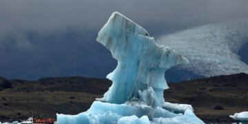 Aligning Profit and Planet: Strategies for Businesses to Thrive in a New Climate Policy Era