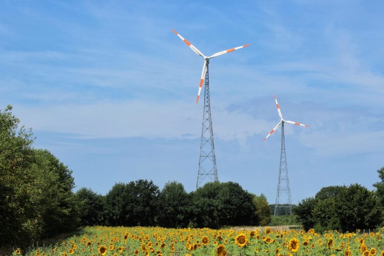 Powering the Future: Innovations in Renewable Energy