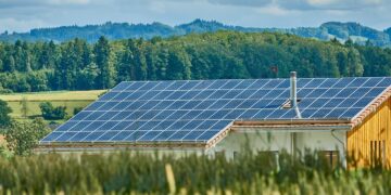 Unveiling the Dual Edges of Renewable Energy: Environmental Benefits