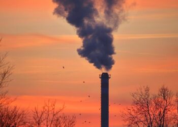 Everyday Practices That Damage Earth: Unseen Consequences of Common Routines