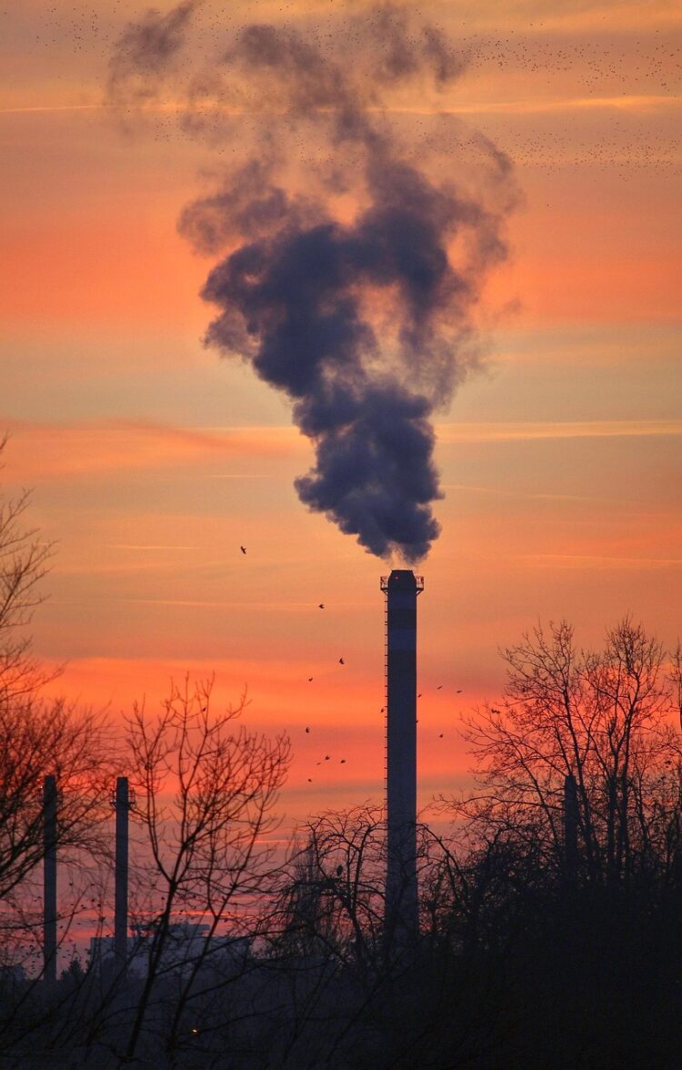 Everyday Practices That Damage Earth: Unseen Consequences of Common Routines