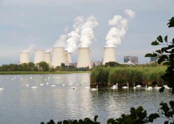 Echoes of Silence: Human Actions and Their Profound Effects on Ecosystems