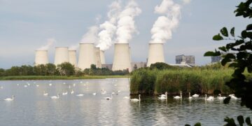 Echoes of Silence: Human Actions and Their Profound Effects on Ecosystems