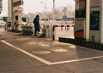 Global Action on Climate: Exploring Effective Policies from Various Countries