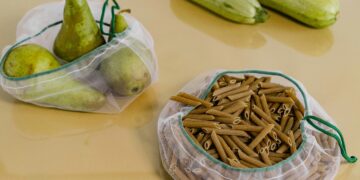 Sustainable Sanctuary: Creating an Environmentally Conscious Home